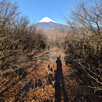 私（影）と富士山