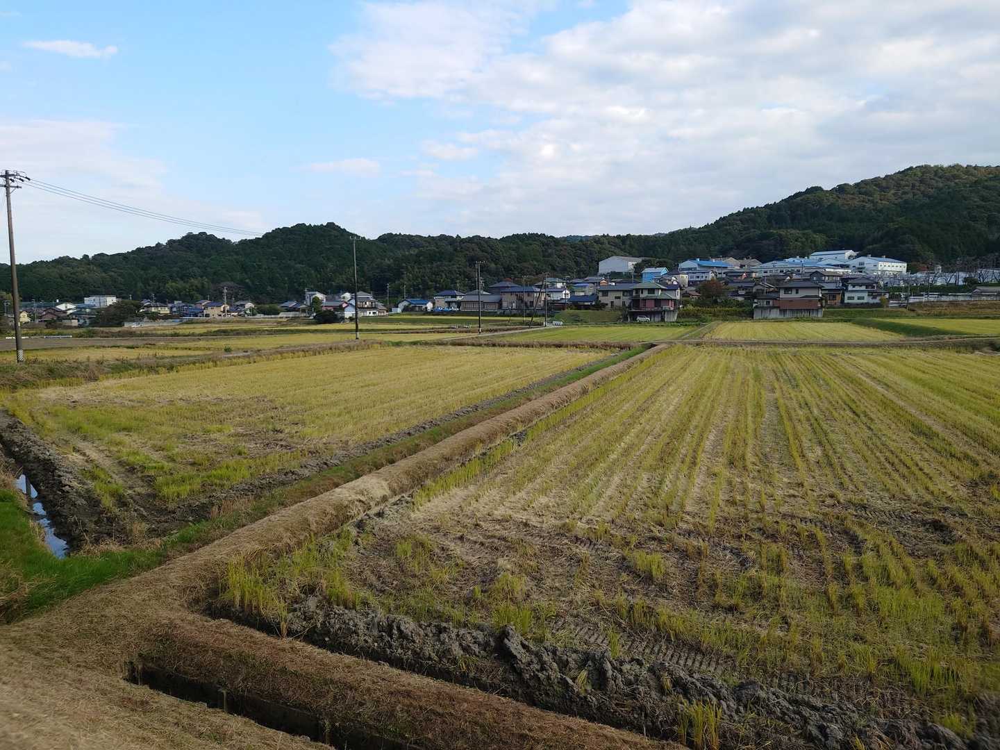 下りてきたら立派な田園風景が広がっています