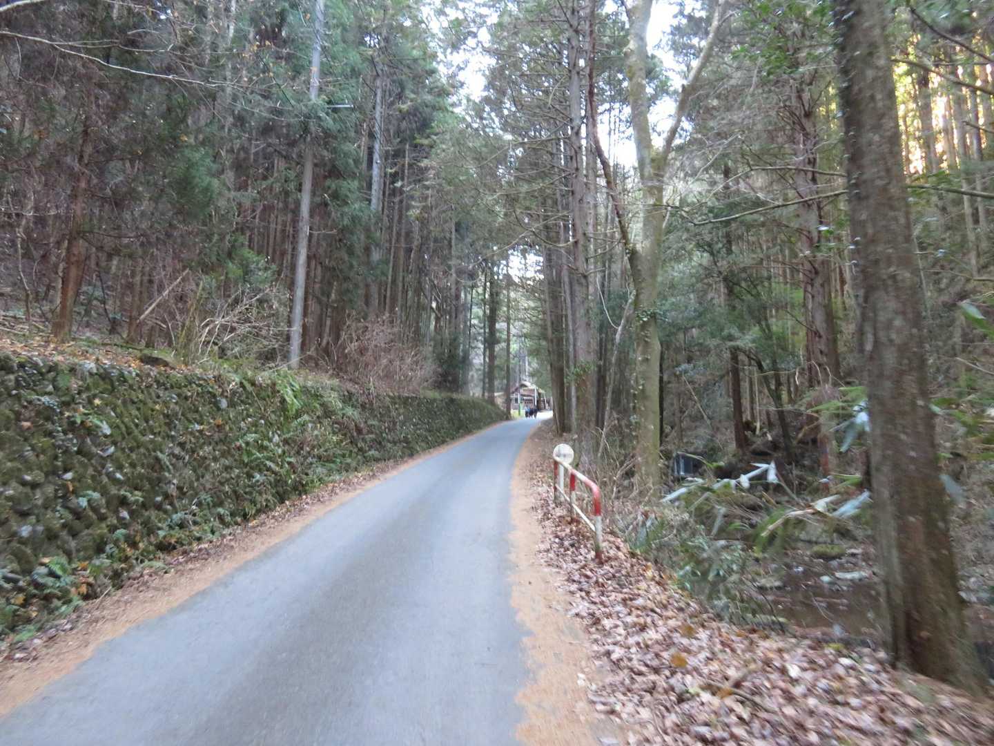ということで、日の出山へ
つるつる温泉の手前からスタート