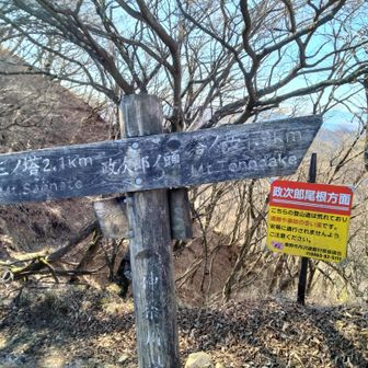 政次郎の頭
おじさんはここに出てくると勘違いしていたよ😓
政次郎の頭からは富士山見えませんでした😢