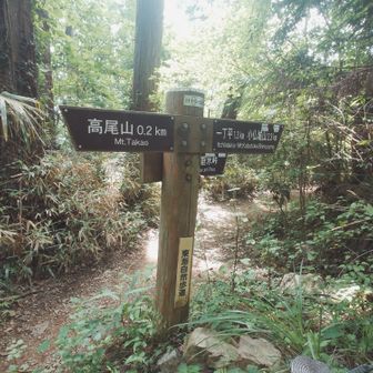 分岐標識