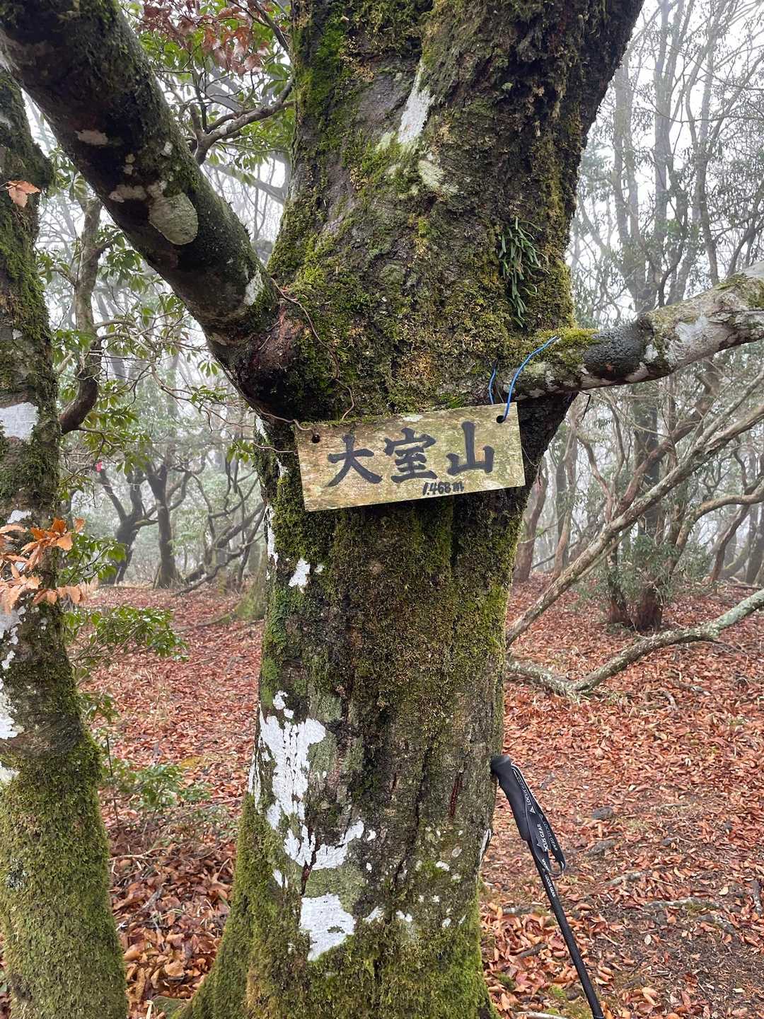 ちょっとハァハァすると山頂