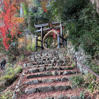 茅（ち）の輪をくぐって子の権現方向に向かいます