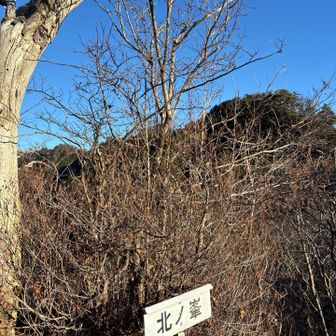 やっと、北の峯💦