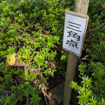 永源山山頂３等三角点

植え込みの中に隠れています。