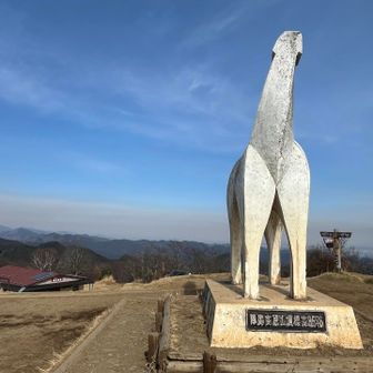 午年🐴なのでね✨