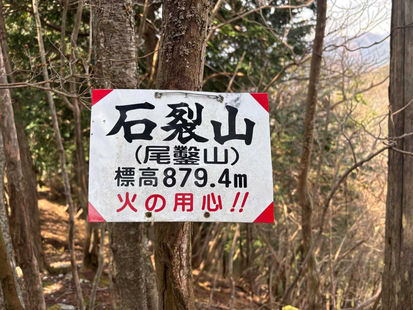 山頂🙌