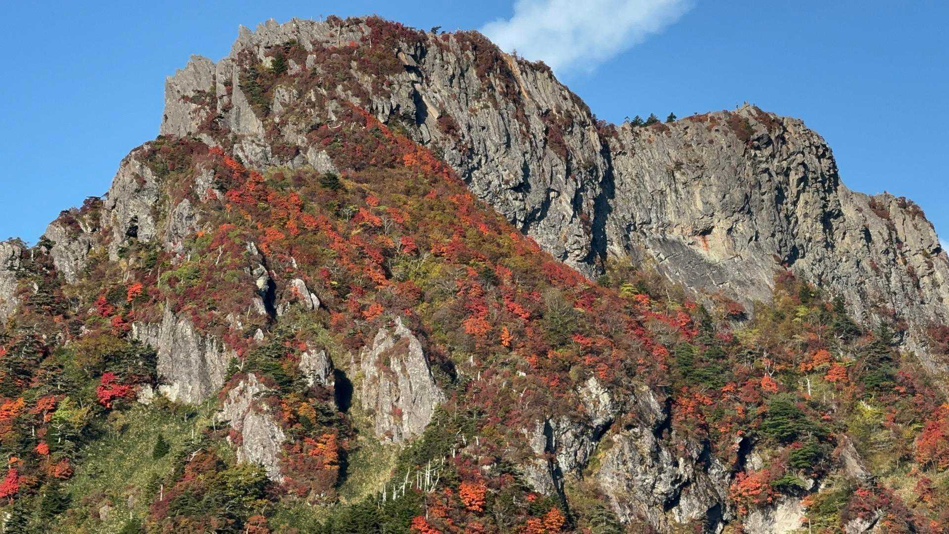 土小屋登山口-石鎚山 縦走コースの写真