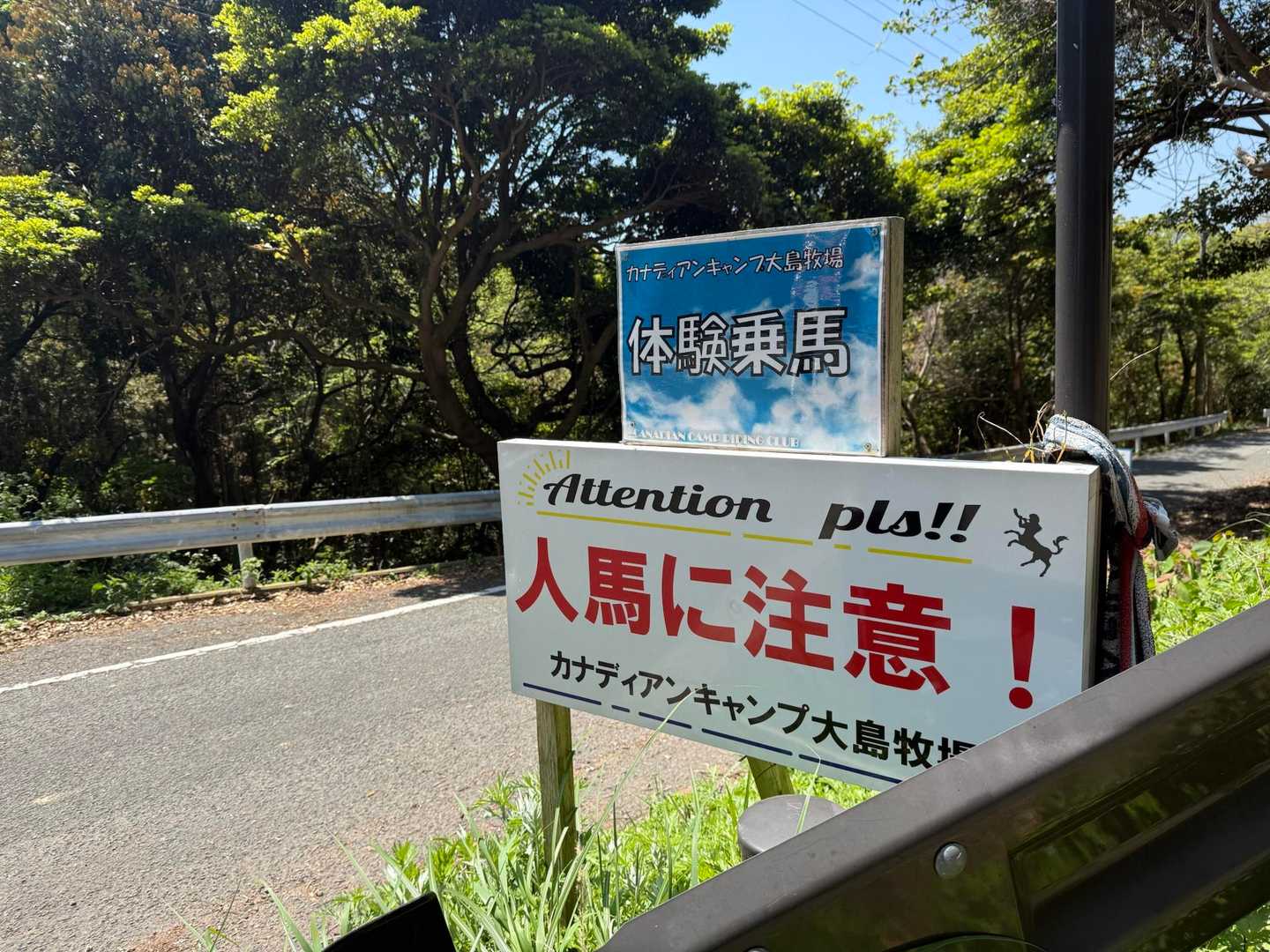 ケンタウルスに注意⚠️