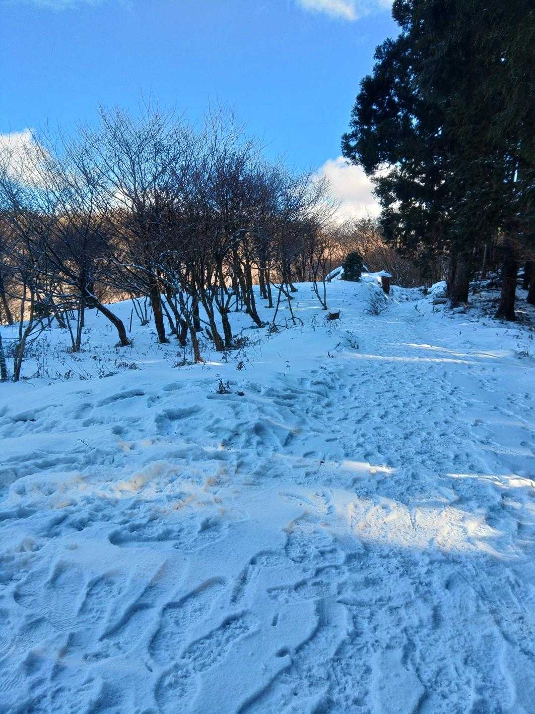 この辺りは毎年雪があります❄