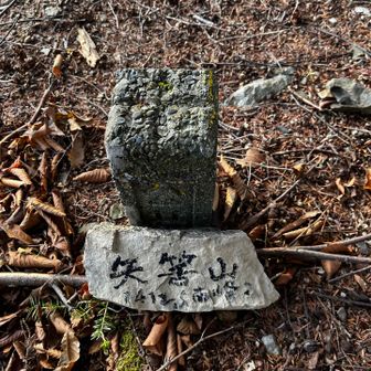 下山はYAMAPルートじゃない道を選択。
積み石やテープがあって
急登だけど踏み跡しっかりありました！