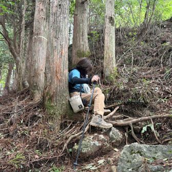 よろけて、木にもたれようとしたら、木が思ったより前にあって、尻もちのコケ図
お尻が大ハマりで抜け出せないしょうもない人の図〜