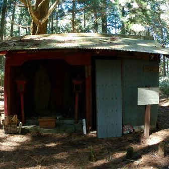 一本杉を小屋で守っている