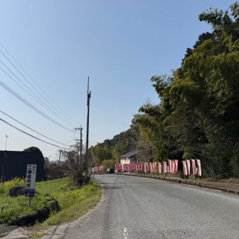 登山口の神社⛩️