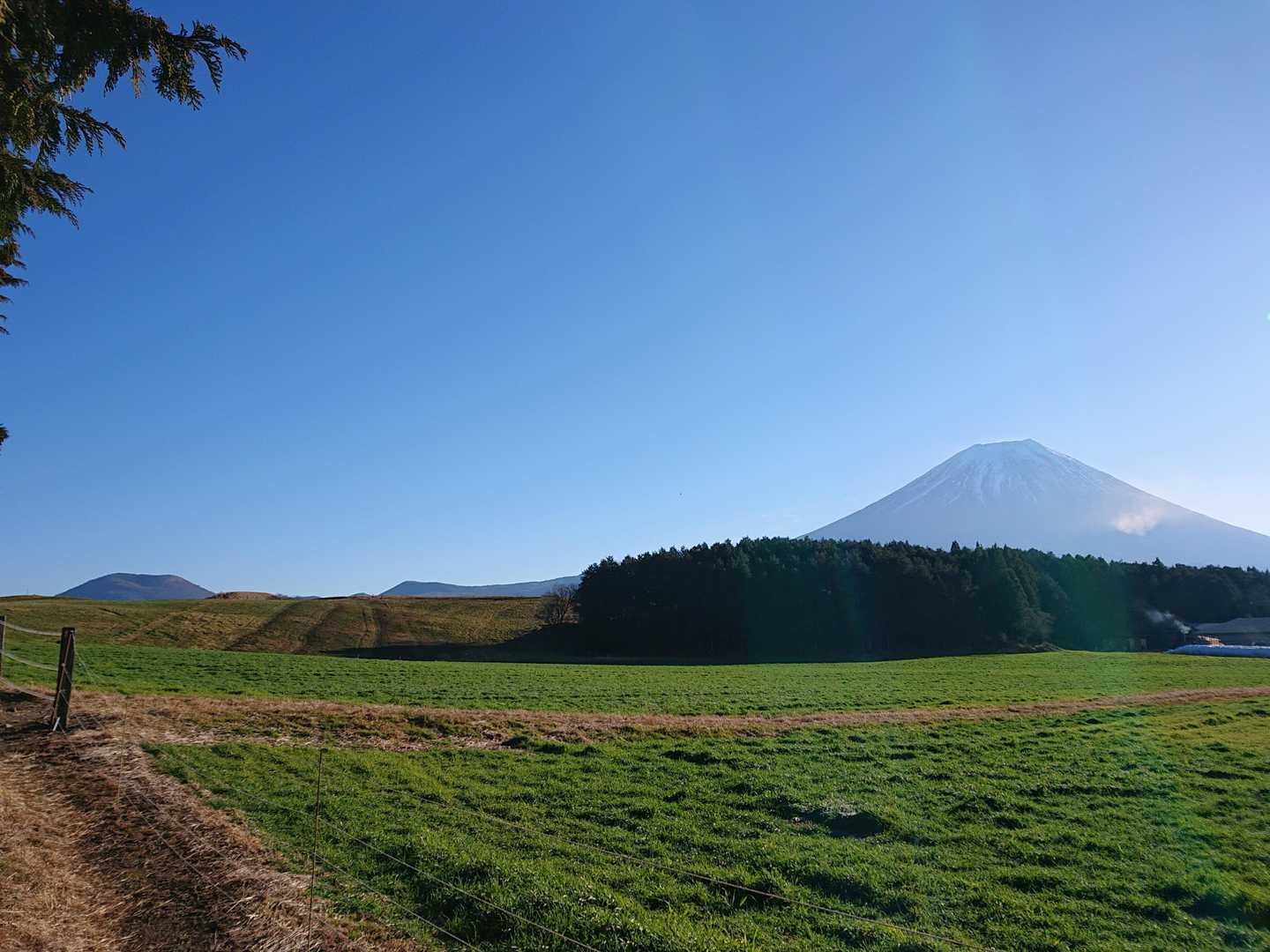 富士山を見ながら歩ける
楽しい遊歩道