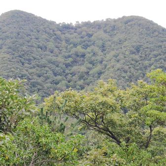 ビューポイントから鞍掛山。
やっと近くなって来た。
お天気、保ってくれるかな。
怪しい空模様。
