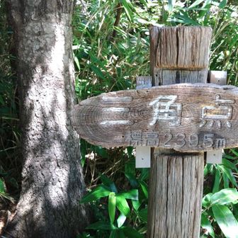 三角点って書いてあるけど、地図上では月寒台
