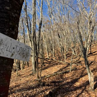 戻って最後のピークへ🚶
