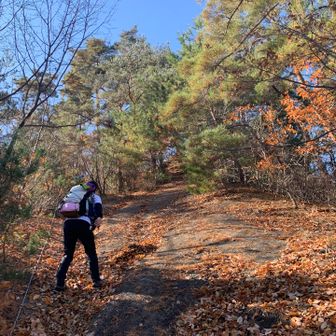 一旦分岐に戻り、米山城跡に向かいます。
登りは武者道、戻りは女道。どうせなら、姫道の方が良いのでは？？？
新潟の米山も城跡でしょうか？