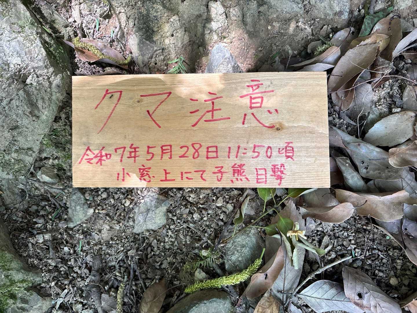 親熊もいるんだろうな