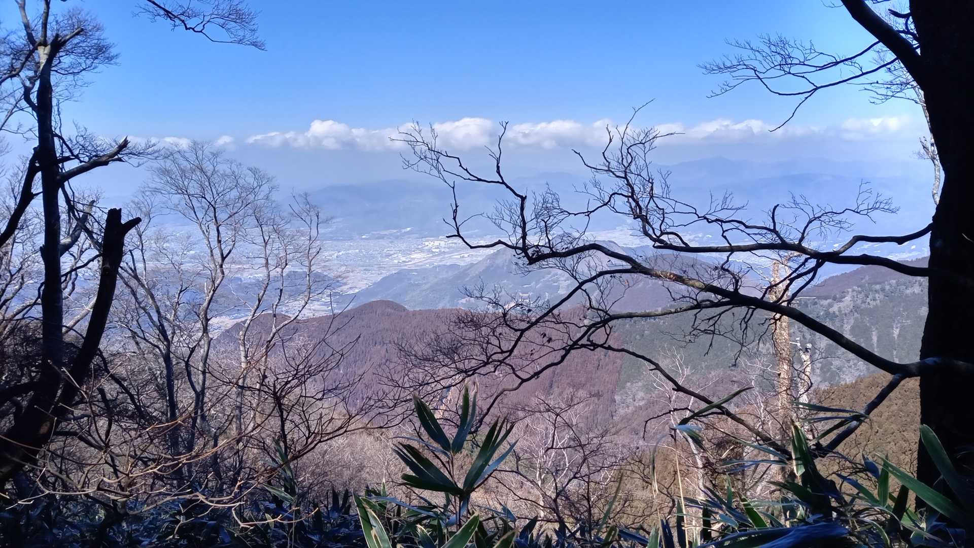 東温市
