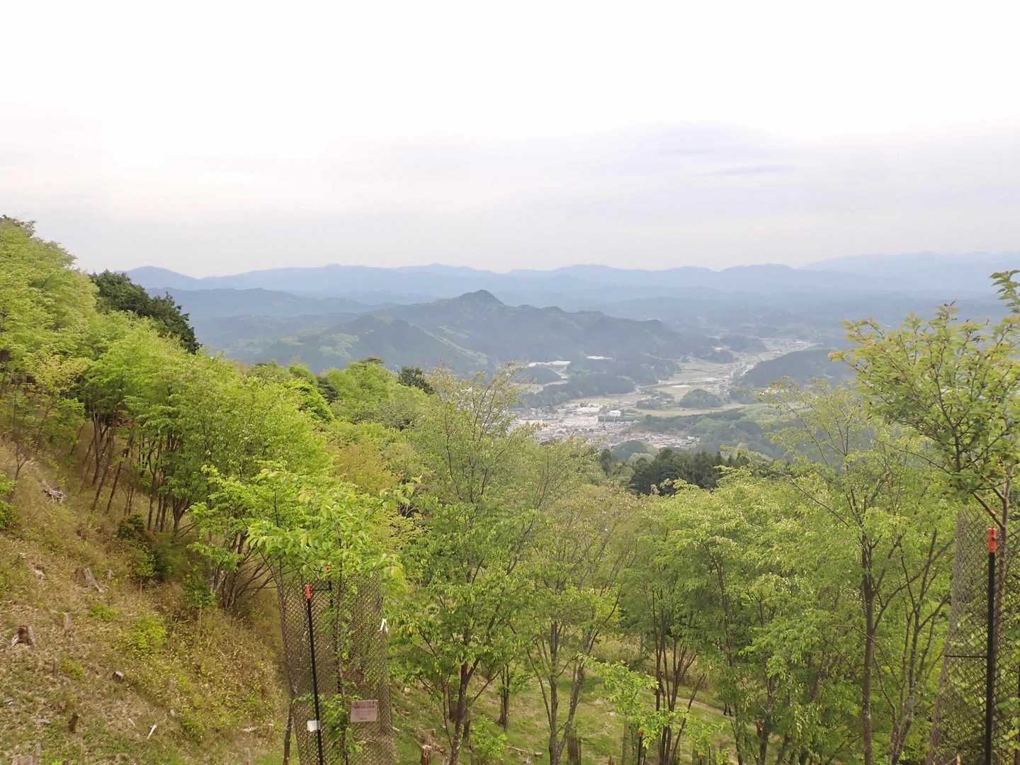 榛原の街と伊那佐山、一番左に高見山
ここも、良い眺めでした。
ここからは、笹薮と手入れの行き届いていない人工林の続く暗い森を進んでいくと