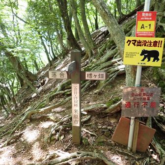 落合へ←