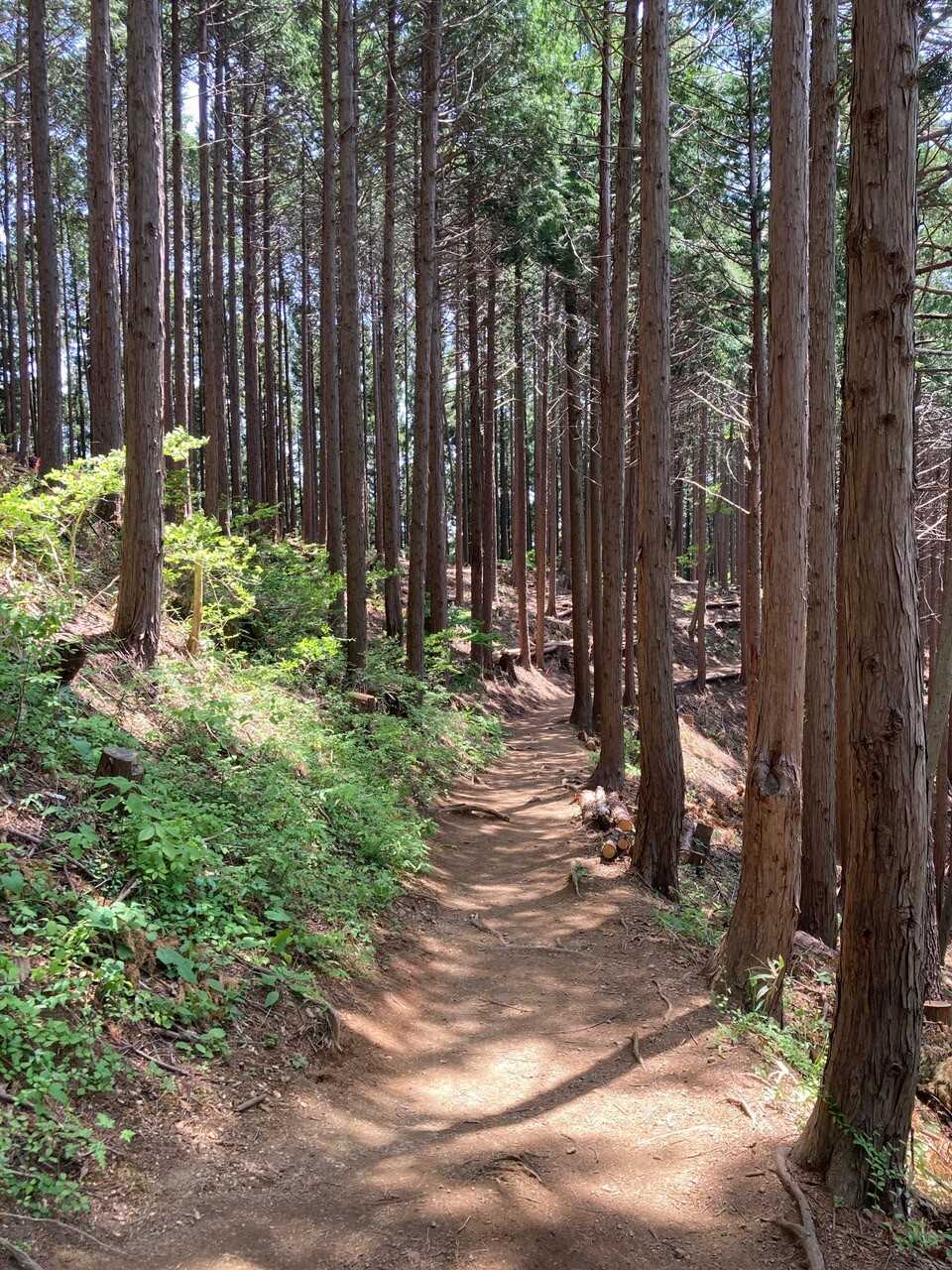 富士小屋山の写真
