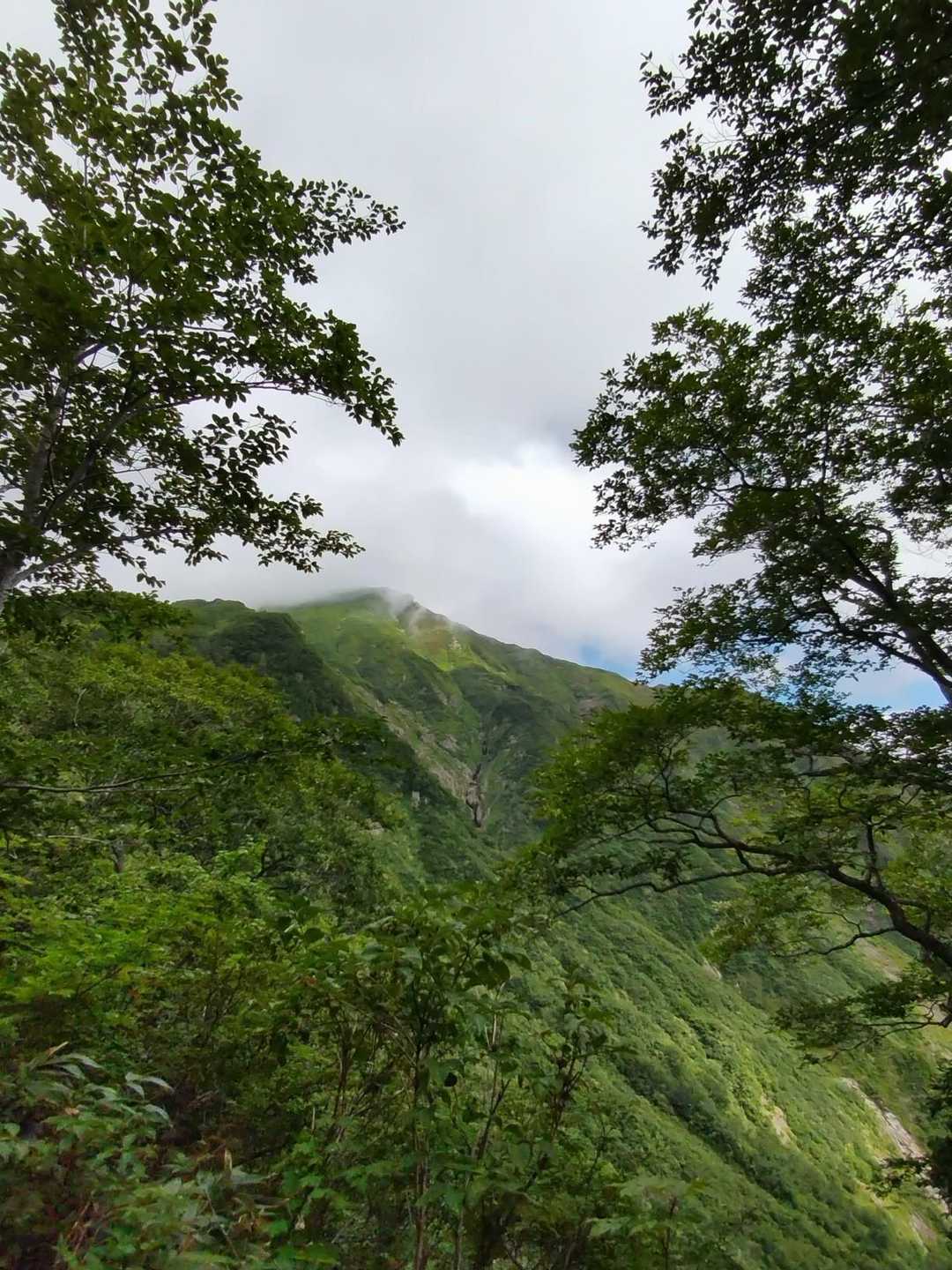 天神峠-熊穴沢ノ頭-登山入口 縦走コースの写真