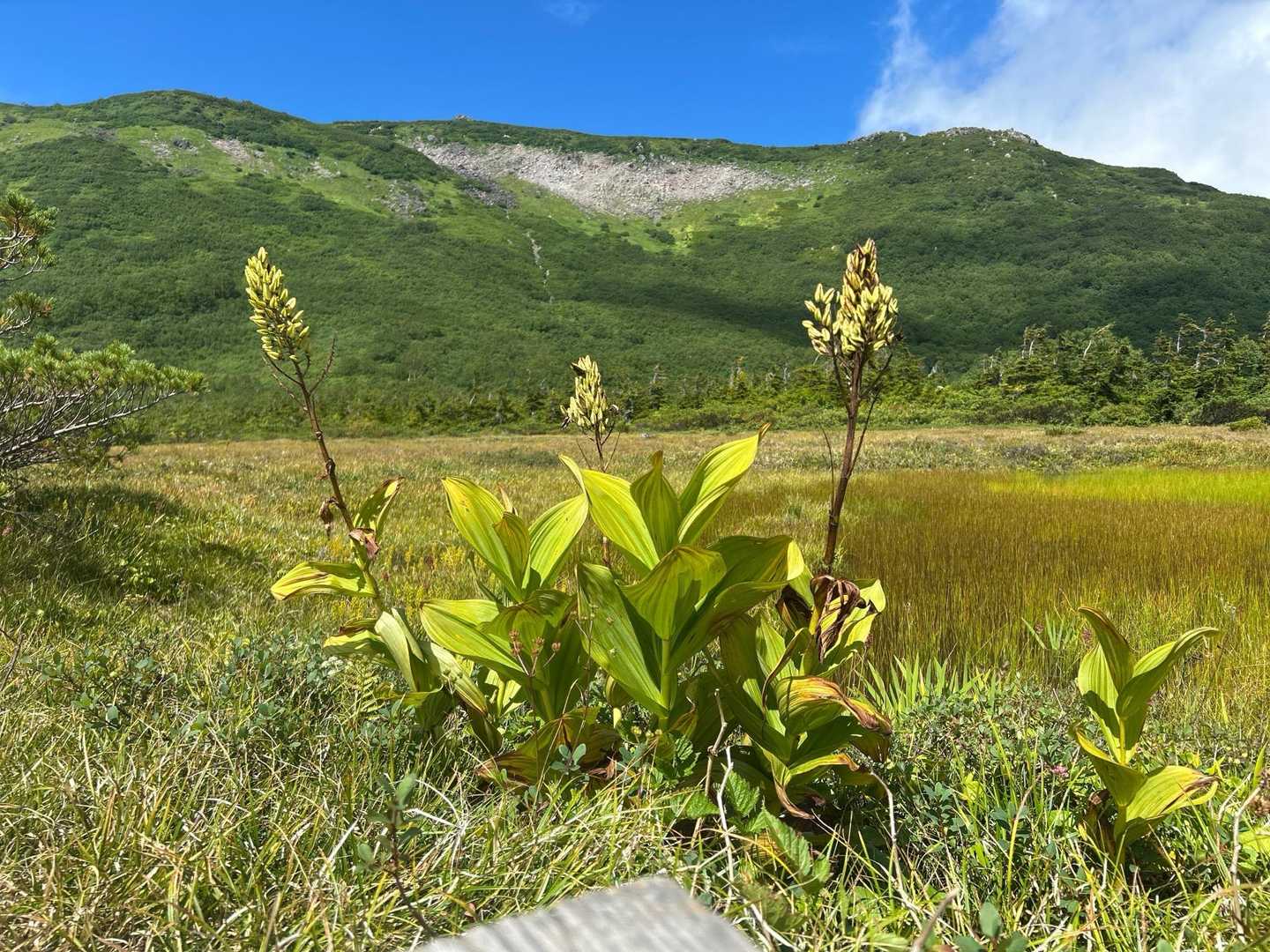 天狗原