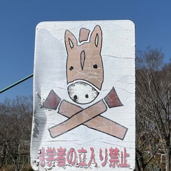 越前守卍左衛門