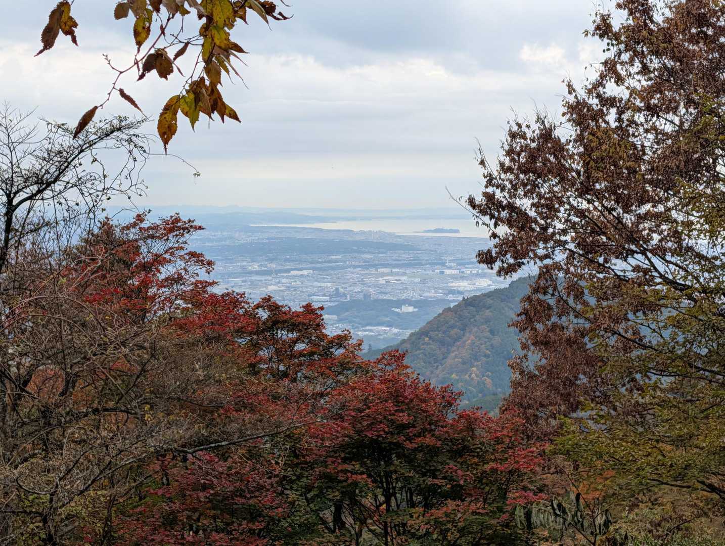 江の島が見える