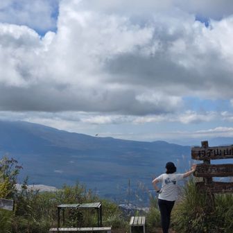 富士山雲隠れてるわ