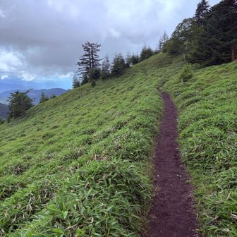 ここから下山開始