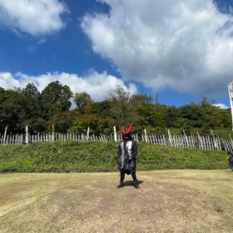 置物か人か観察