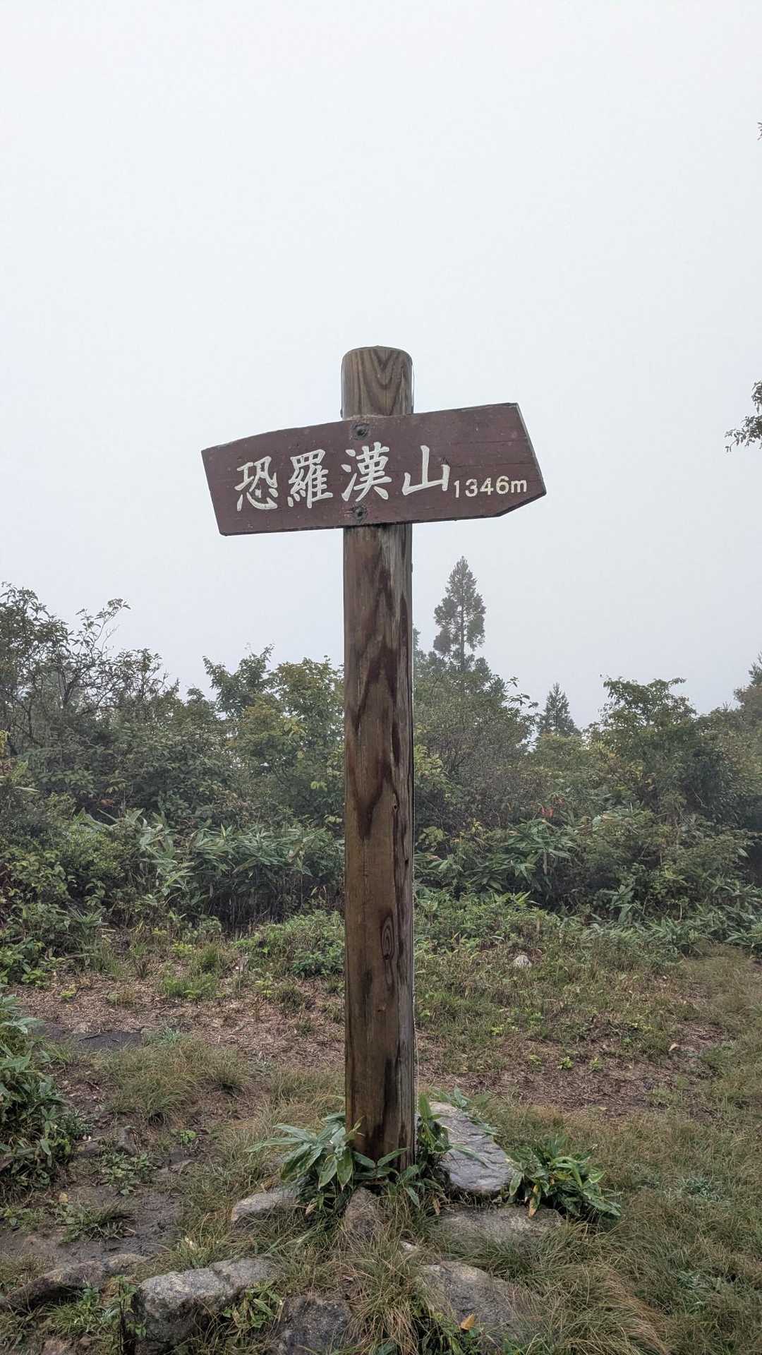 恐羅漢山登山口-夏焼峠-恐羅漢山 周回コースの写真
