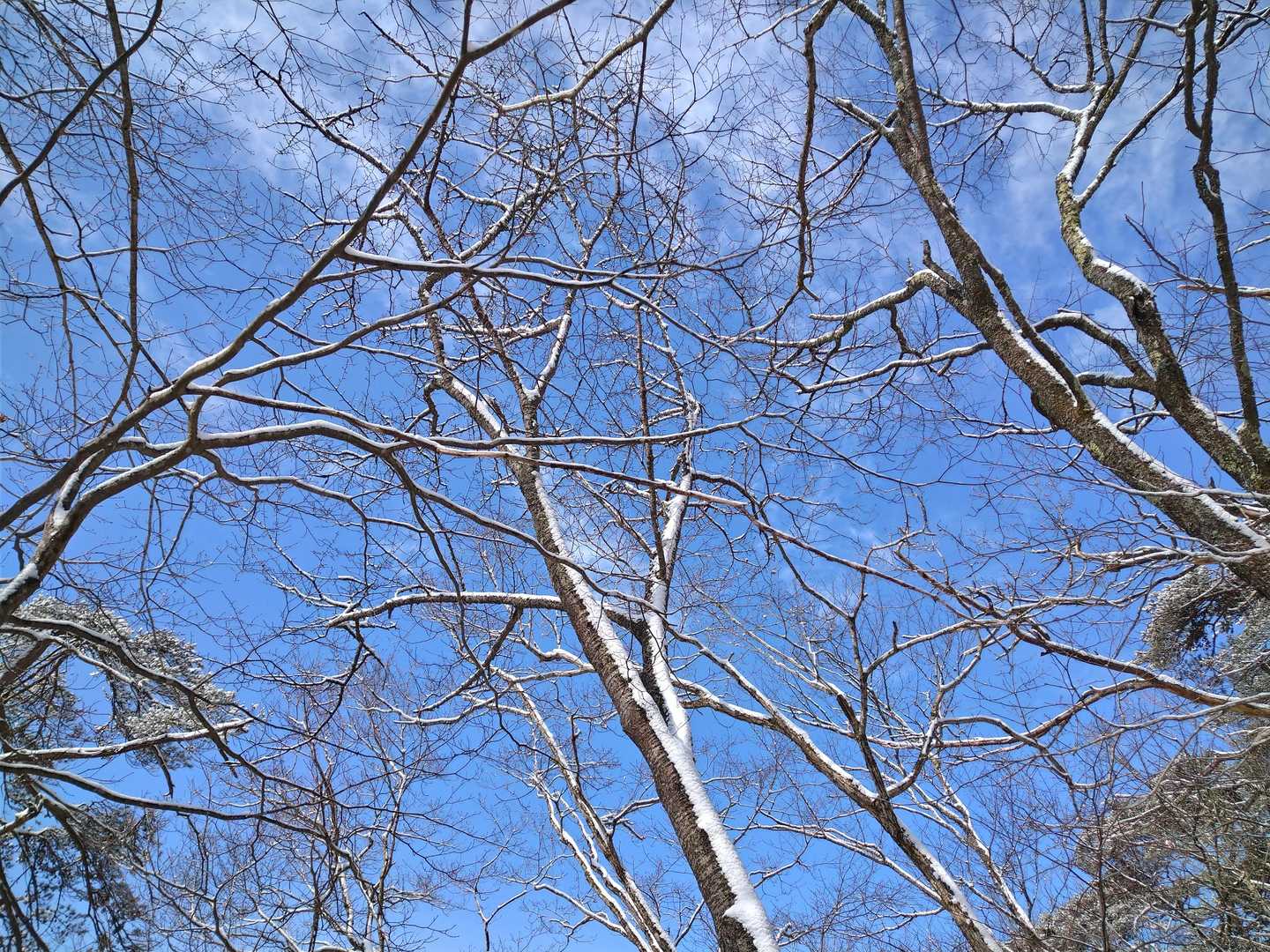 青空🥰