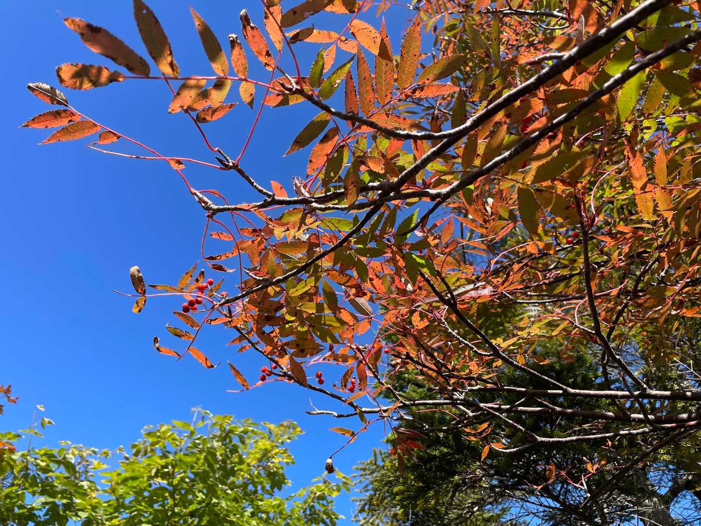 下山したら青空
あるあるですね😌