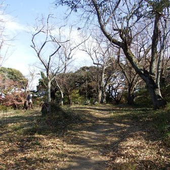 源氏山山頂到着です。