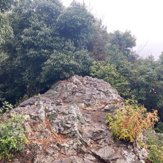 山頂は意外と岩岩してます。