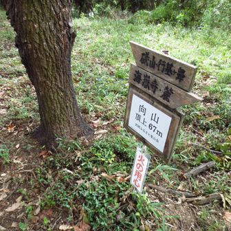 向山山頂