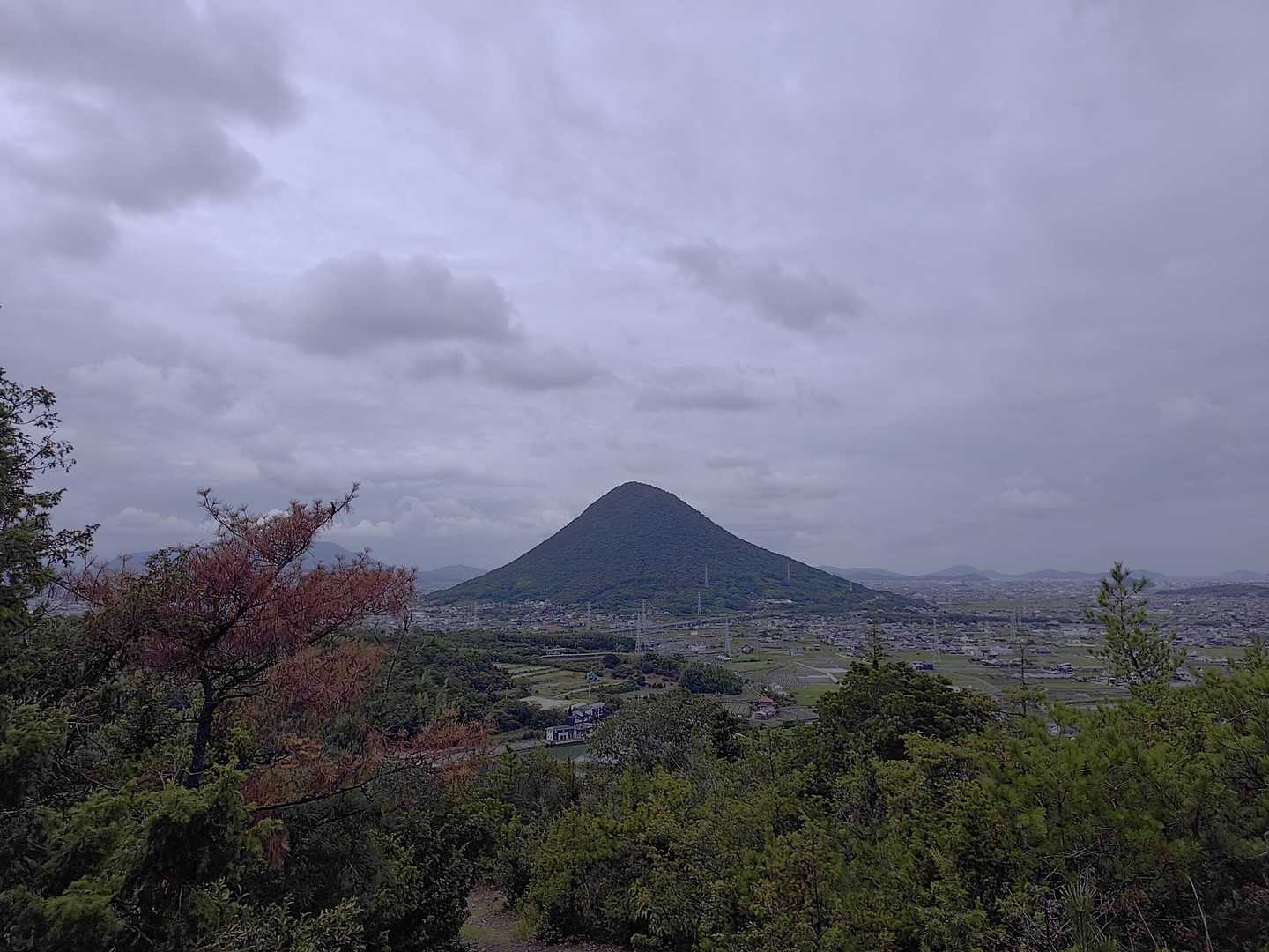 いつ見てもキレイな形