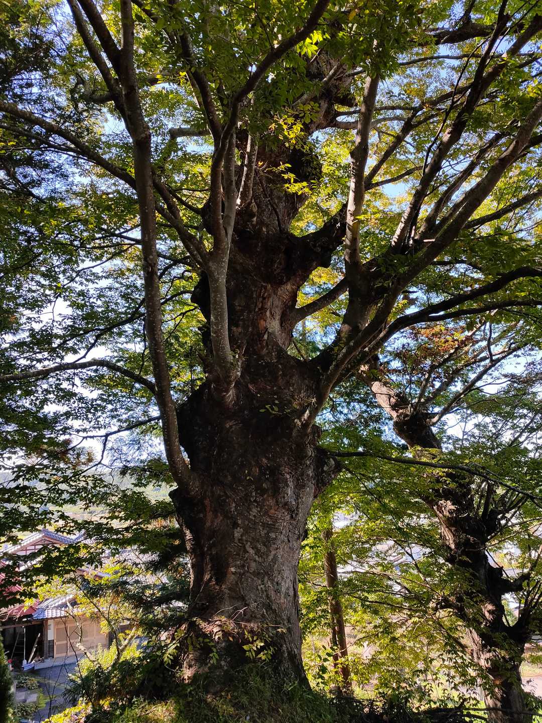 虚空蔵山登山口-虚空蔵山 周回コースの写真