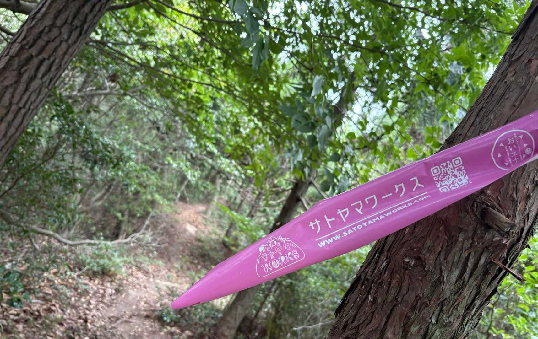 大会は　賑わったでしょうね〜😆