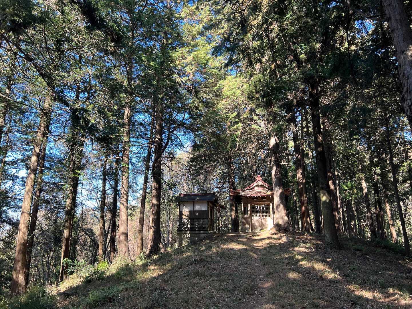 嘉多山稲荷⛩️