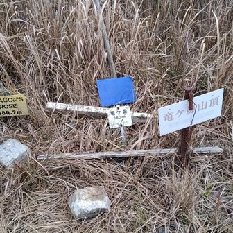 ごちゃごちゃしています😅