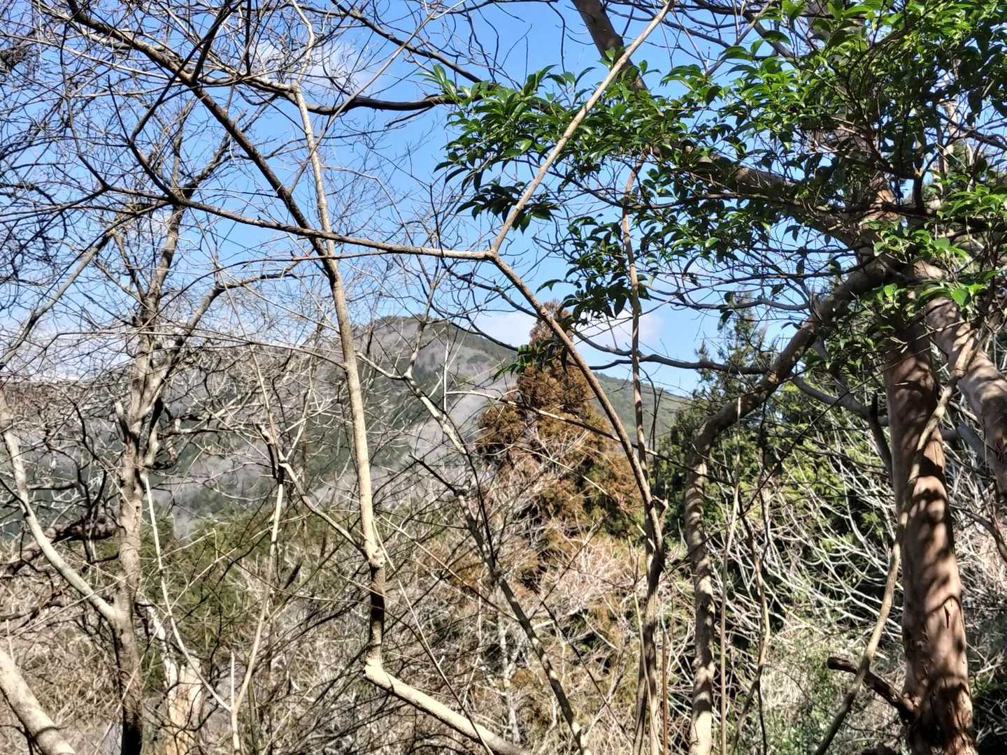 向こうに見える⛰️を回るのかな…