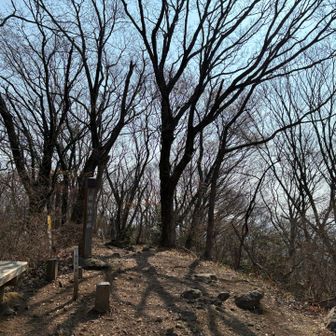 馬不入山〜に戻りました。
桜峠にむかいます🚶‍➡️