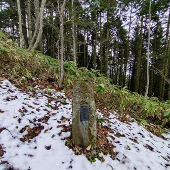 子午線標
主役の天測点は一等三角点がある瀞台
こっちとあっちはやはり
セットだったのですね
あちらにも行かないとです
でも次回
