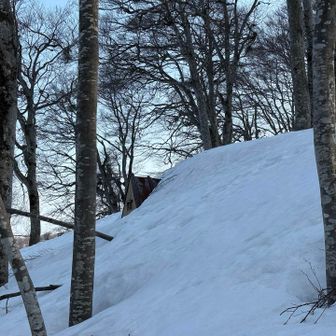 キビタキ避難小屋